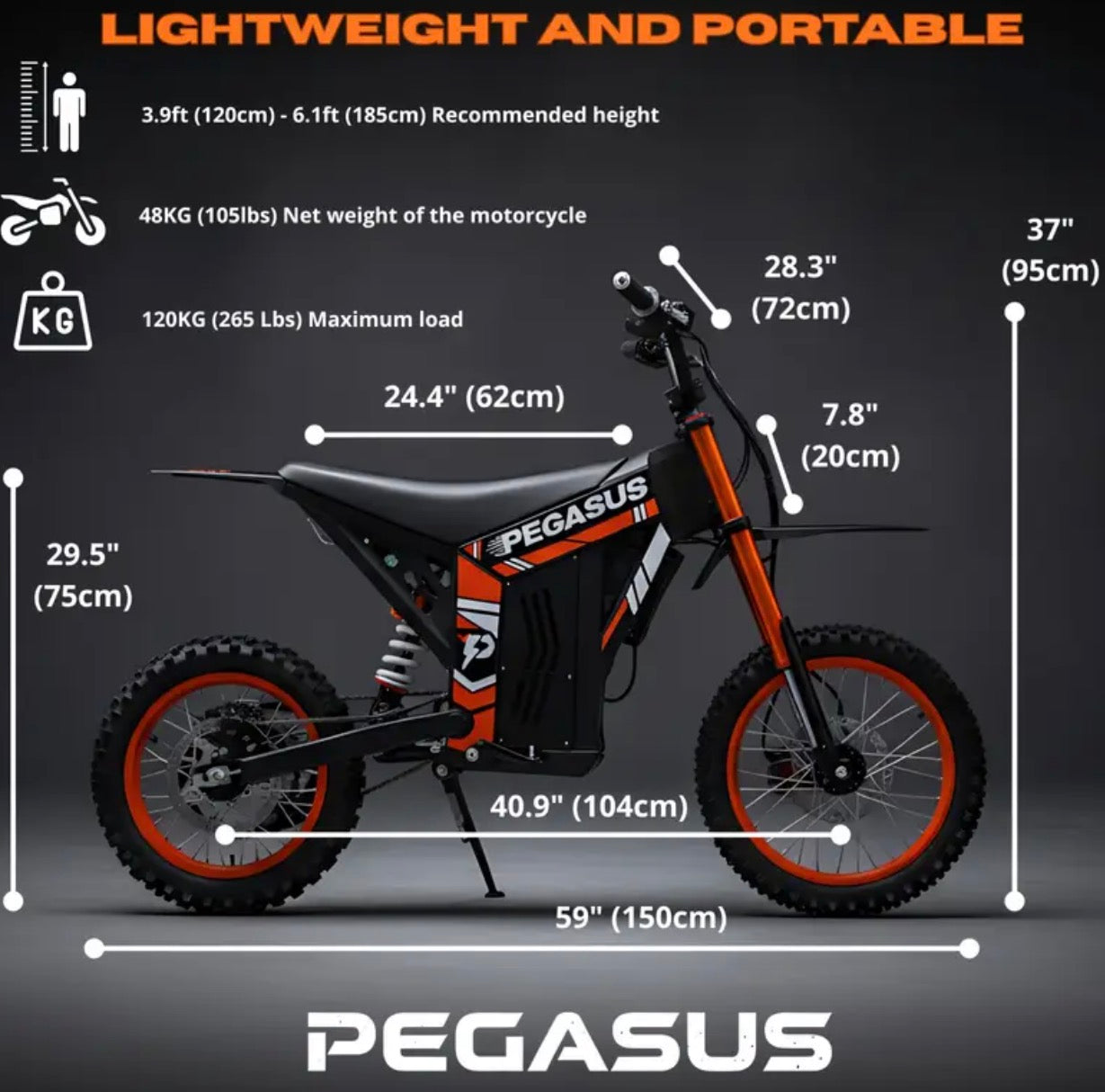 Electric motorcycle