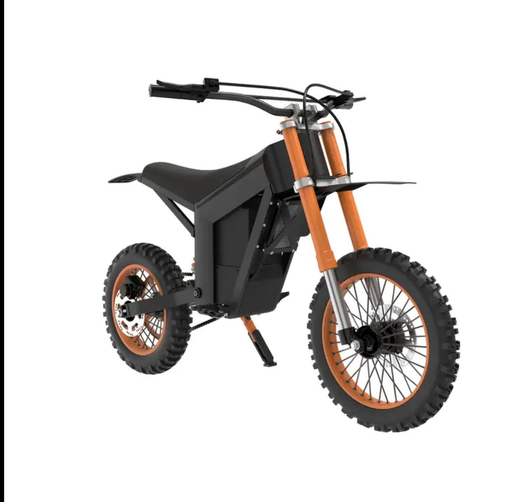 Electric motorcycle